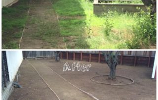 Yard Clean Up Before and After 2